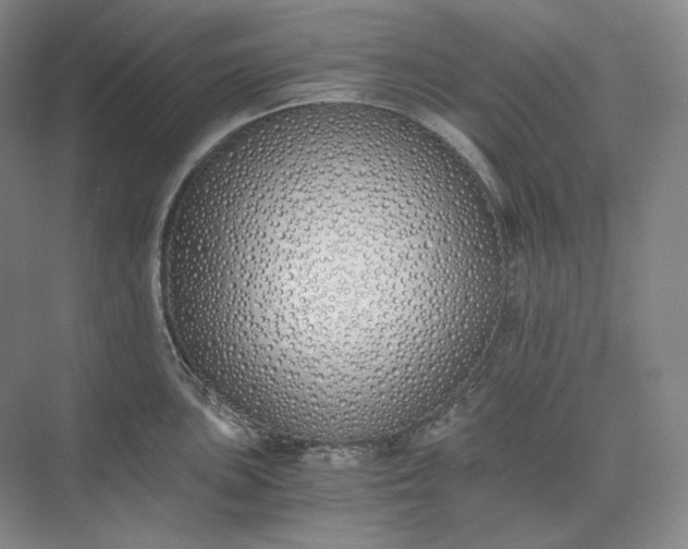 X0000073511051200608140929
