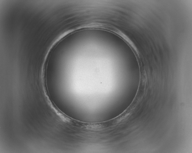 X0000073511053200608140929