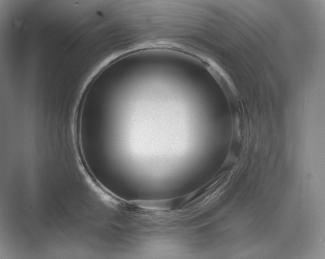 X0000073511054200608140929