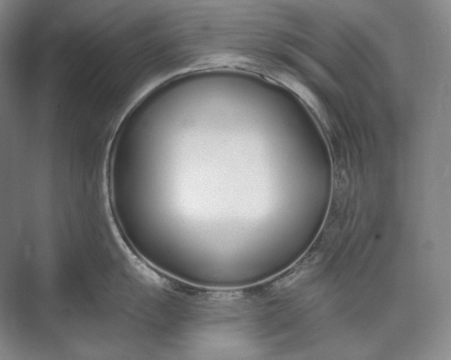 X0000073511055200608140929