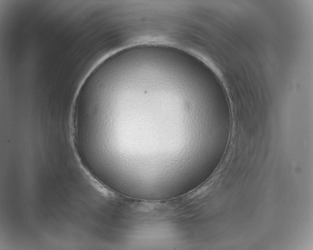 X0000073511056200608140929
