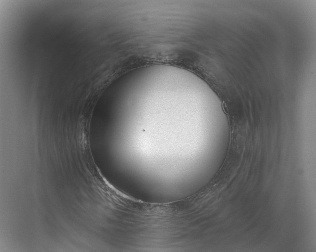 X0000073511058200608140928