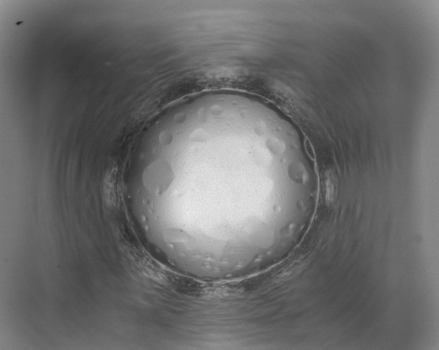 X0000073511059200608140928
