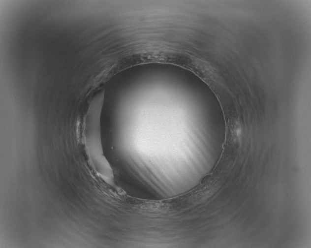 X0000073511060200608140928