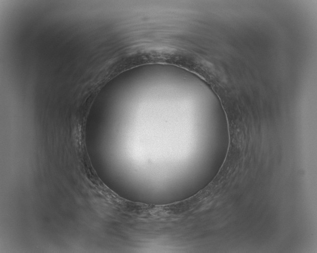 X0000073511061200608140928