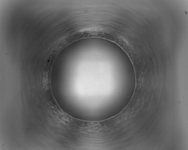 X0000073511062200608140928