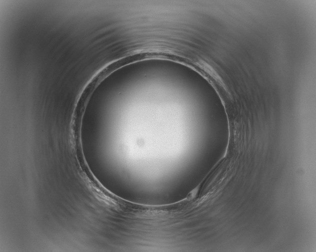 X0000073511068200608140928