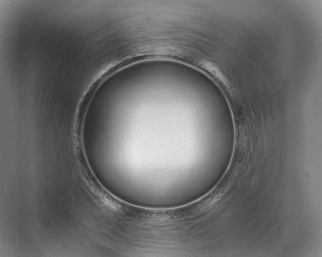 X0000073511071200608140928