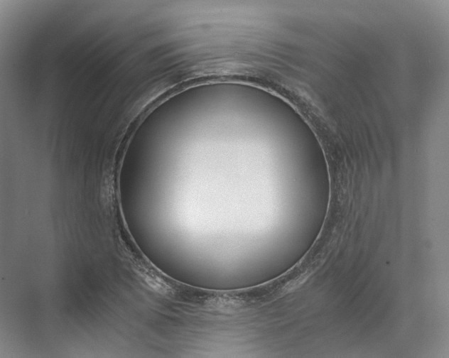 X0000073511073200608140928
