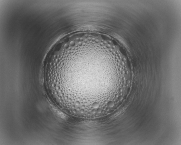 X0000073511075200608140928