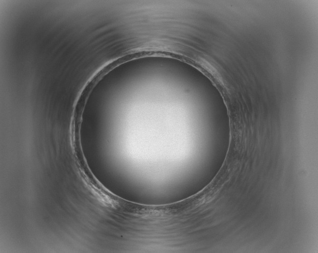 X0000073511076200608140928