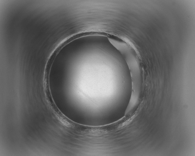 X0000073511077200608140928