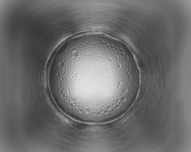 X0000073511079200608140928