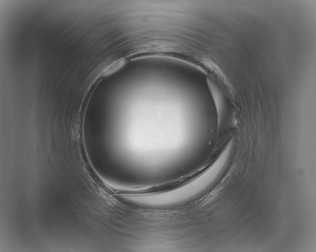 X0000073511081200608140928