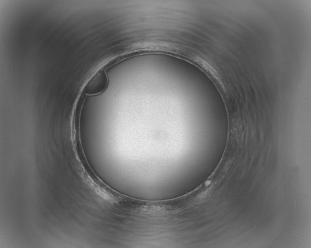 X0000073511082200608140928