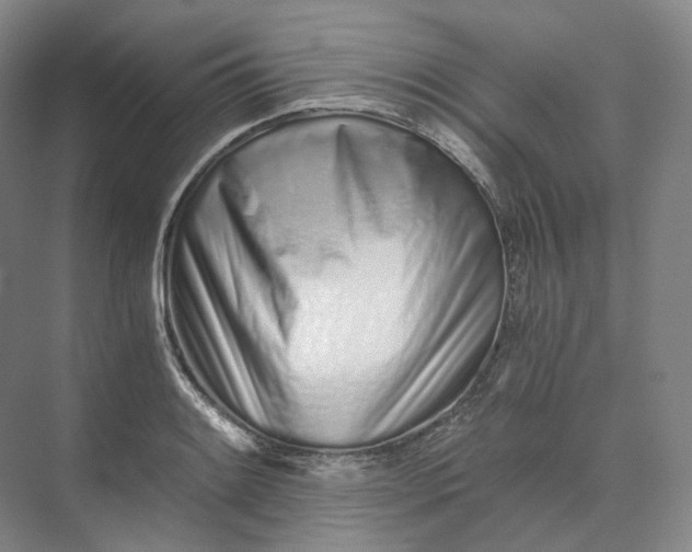 X0000073511084200608140928