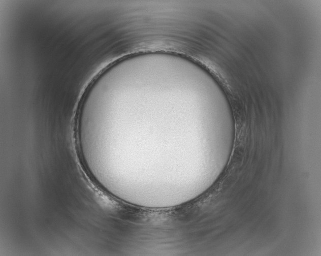 X0000073511086200608140928