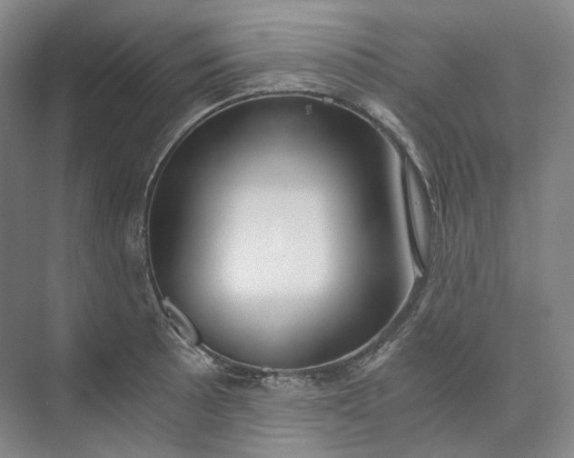 X0000073511089200608140928
