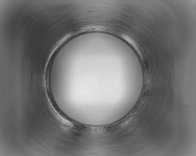 X0000073511090200608140928