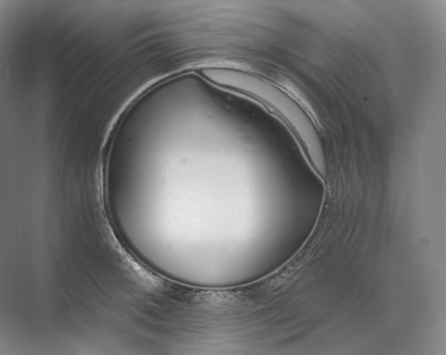 X0000073511092200608140928