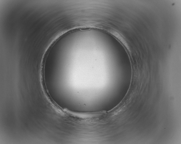 X0000073511093200608140928