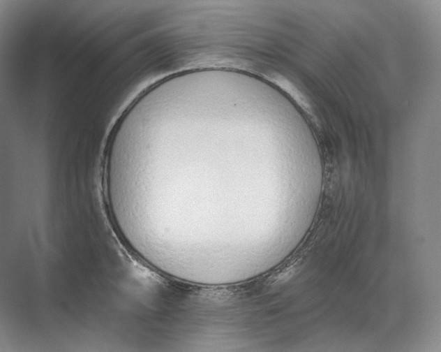 X0000073511094200608140928