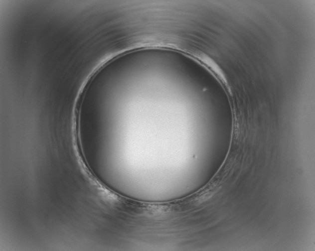 X0000073511096200608140928