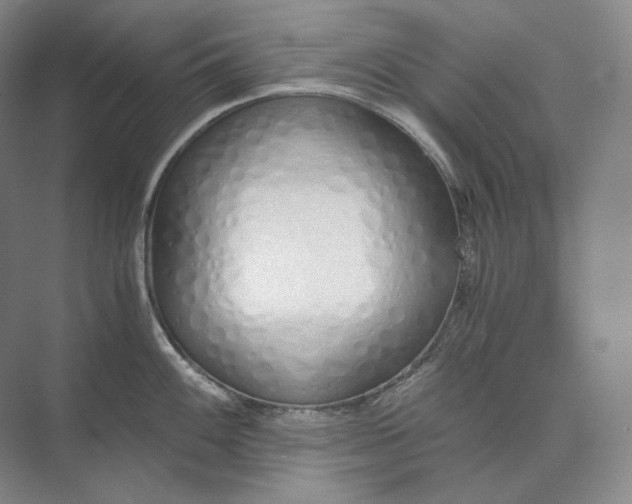 X0000073511100200608140928