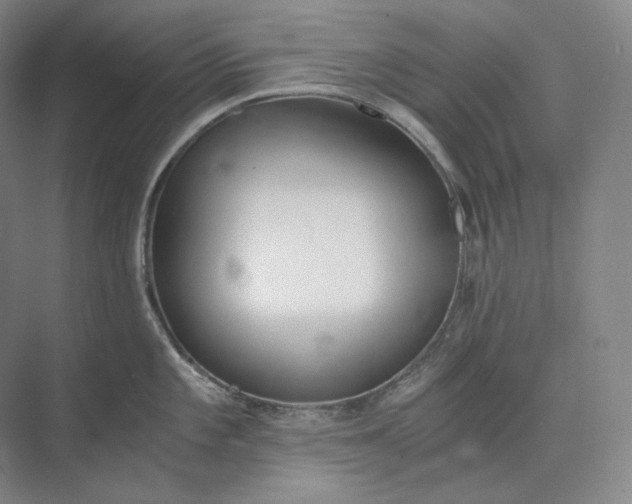 X0000073511101200608140928