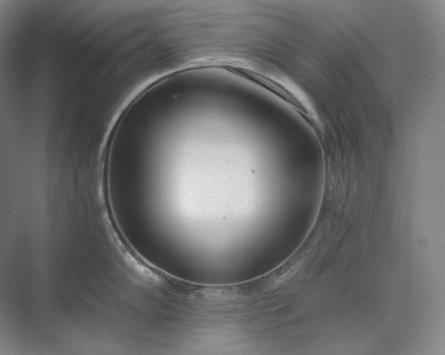 X0000073511102200608140928