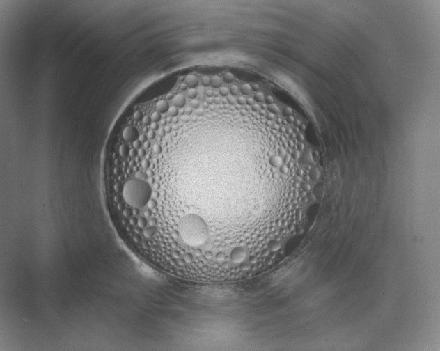 X0000073511103200608140927