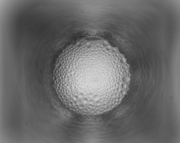 X0000073511105200608140927