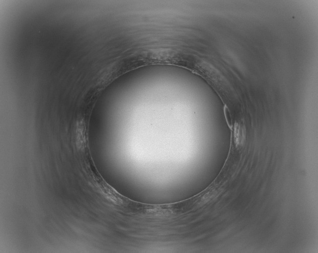 X0000073511107200608140927