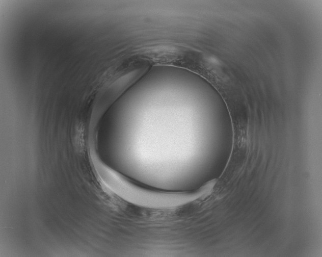X0000073511108200608140927