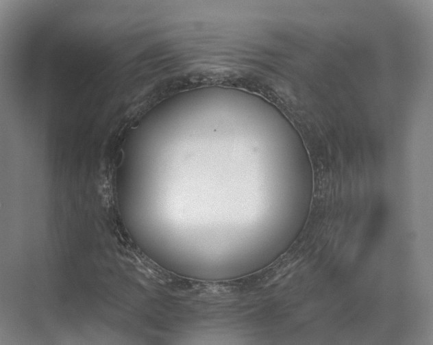 X0000073511109200608140927