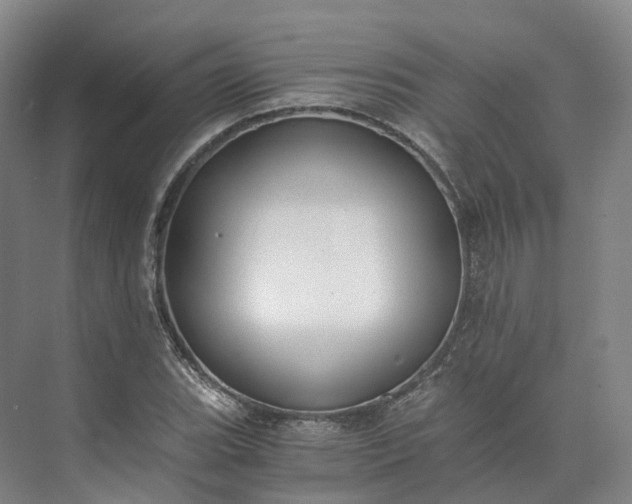 X0000073511119200608140927