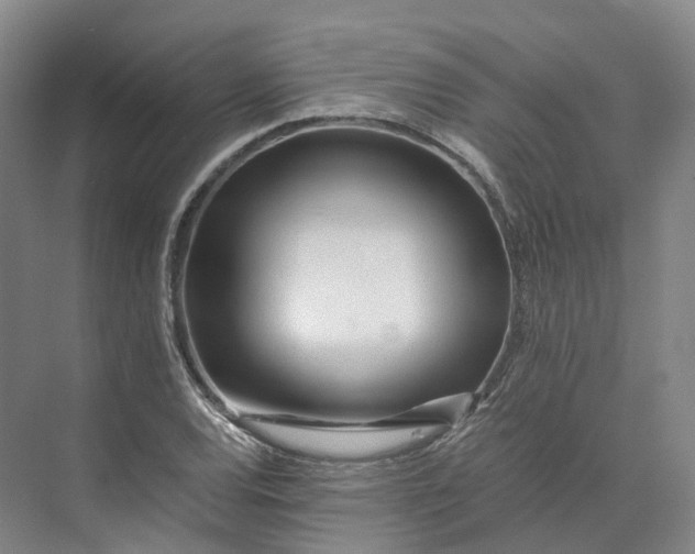 X0000073511120200608140927