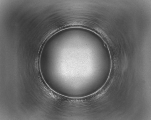 X0000073511121200608140927