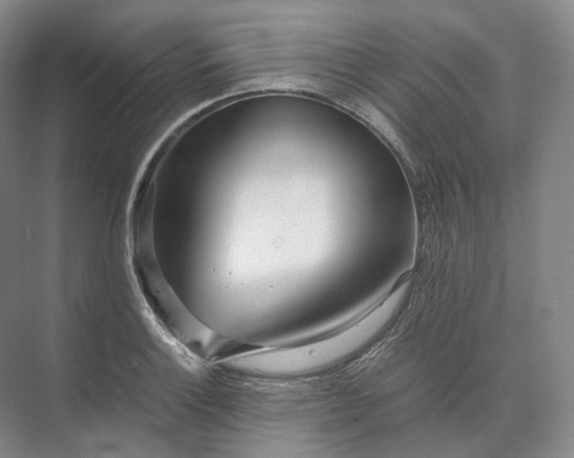 X0000073511132200608140927
