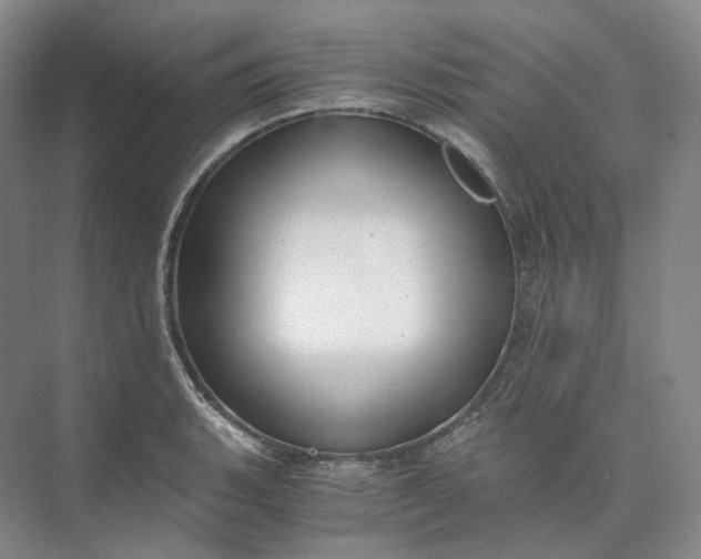 X0000073511135200608140927