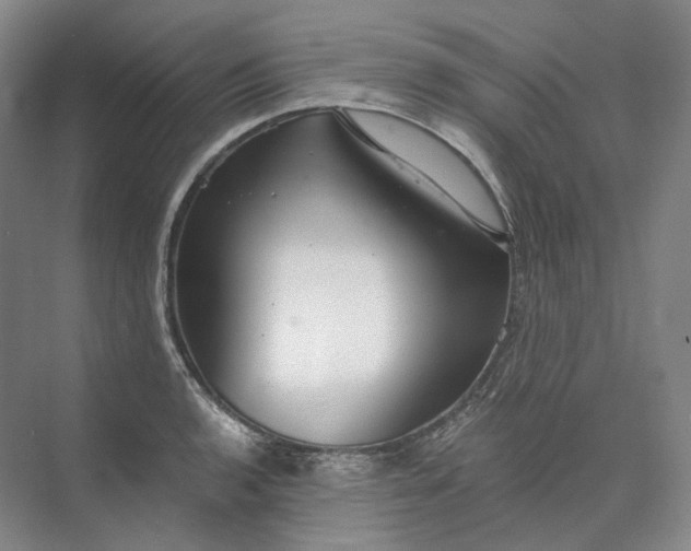 X0000073511136200608140927