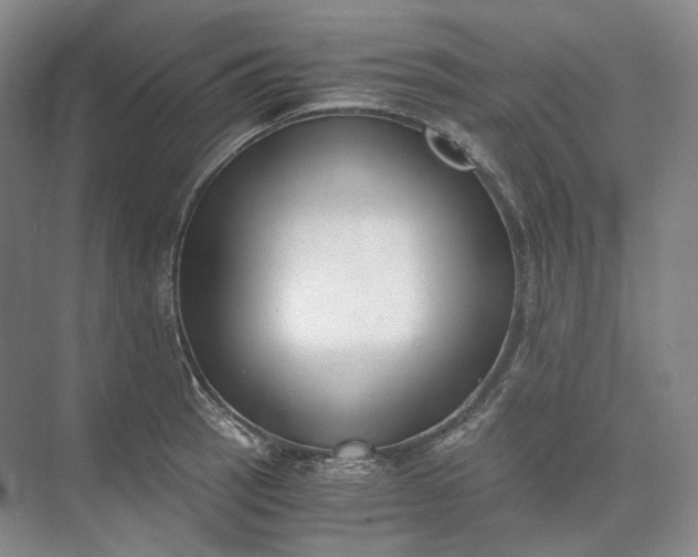 X0000073511137200608140927