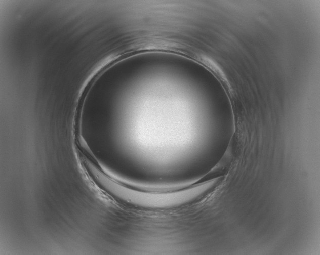 X0000073511138200608140927