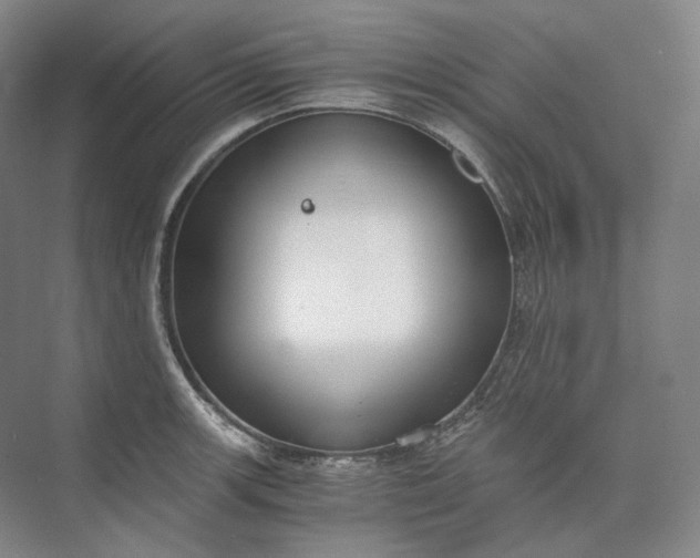 X0000073511139200608140927