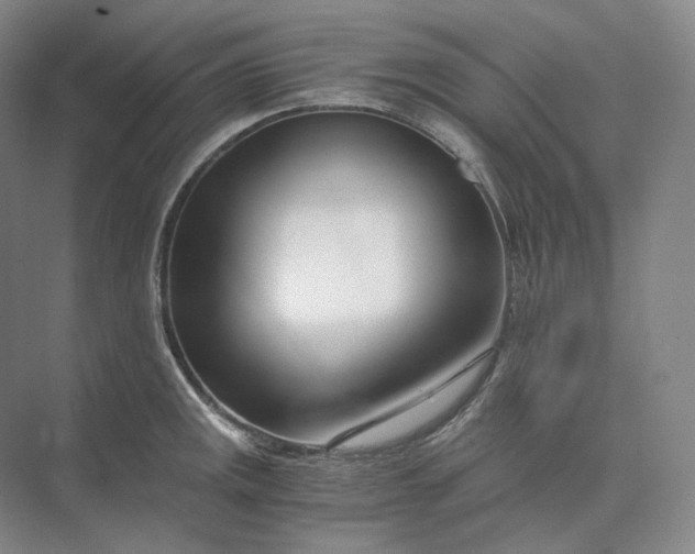 X0000073511141200608140927