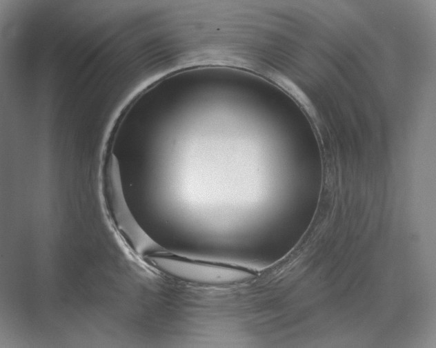 X0000073511144200608140927