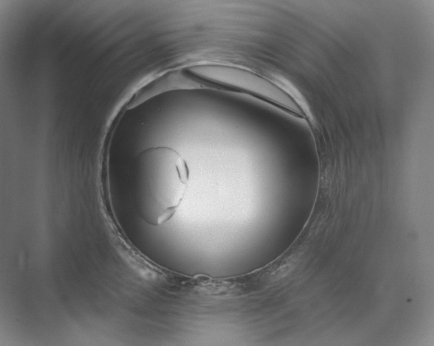 X0000073511146200608140927
