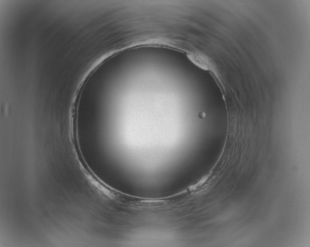 X0000073511151200608140927