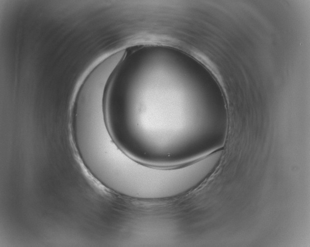 X0000073511152200608140927
