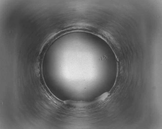 X0000073511164200608140926